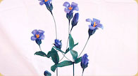 Fringed Gentian