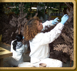 White Oak foliage in production 