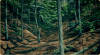 Hand painted Hardwood Forest Valley mural