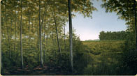 Hand painted Indiana Woodlot mural