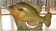 6 foot tall hand sculpted redbreast sunfish