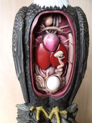 Brees Studio | Fine Quality Dioramas and Interpretive Exhibits